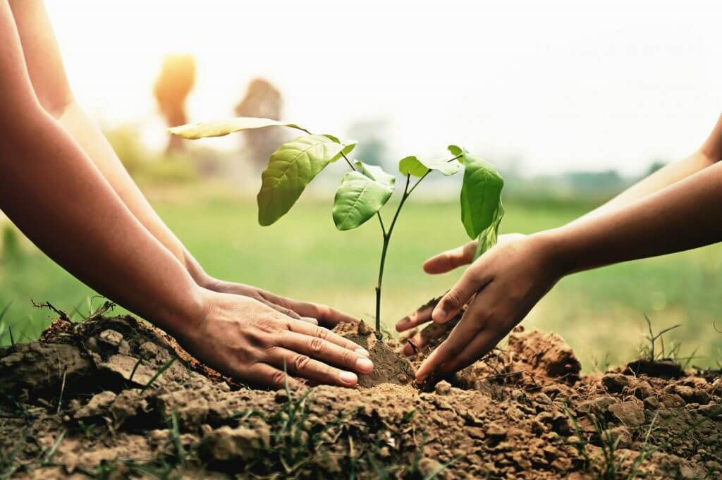 Reflexao Sobre a Crise Ambiental e Convite à Ação